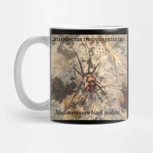 Latrodectus tredecimguttatus -  Mediterranean black widow Mug